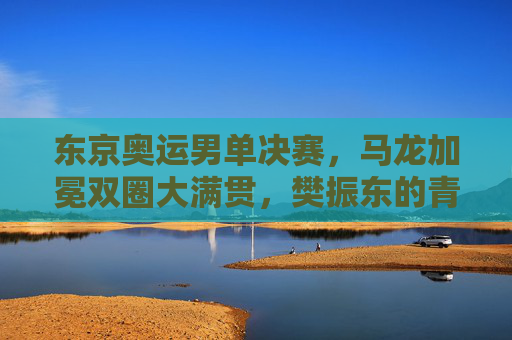 东京奥运男单决赛,马龙加冕双圈大满贯,樊振东的青春传承与遗憾