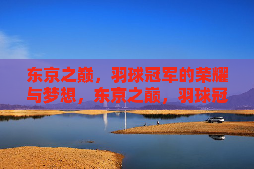 东京之巅,羽球冠军的荣耀与梦想,东京之巅,羽球冠军的荣耀与梦想