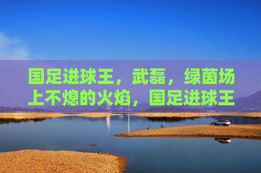 国足进球王,武磊,绿茵场上不熄的火焰,国足进球王武磊,绿茵场上不熄的火焰