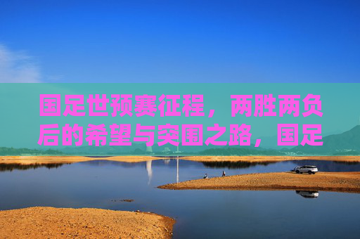 国足世预赛征程，两胜两负后的希望与突围之路，国足世预赛两胜两负，希望与突围之路