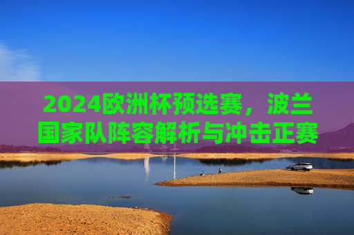 2024欧洲杯预选赛,波兰国家队阵容解析与冲击正赛前景,2024欧洲杯预选赛,波兰国家队阵容解析与冲击正赛前景