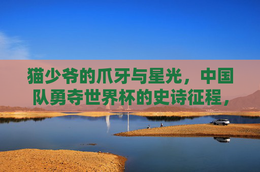 猫少爷的爪牙与星光,中国队勇夺世界杯的史诗征程,猫爪星光耀征途,中国队世界杯史诗夺冠