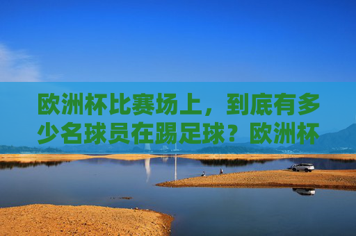 欧洲杯比赛场上,到底有多少名球员在踢足球?欧洲杯比赛场上到底有多少名球员