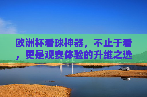 欧洲杯看球神器,不止于看,更是观赛体验的升维之选,欧洲杯观赛升维神器