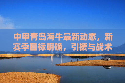 中甲青岛海牛最新动态,新赛季目标明确,引援与战术升级并重,中甲青岛海牛新赛季目标明确引援战术双升级
