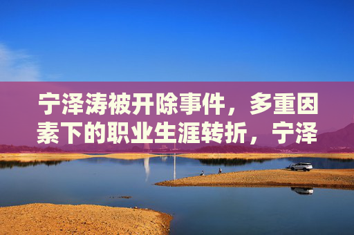 宁泽涛被开除事件，多重因素下的职业生涯转折，宁泽涛被开除，多重因素下的职业生涯转折