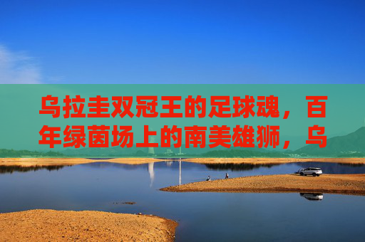 乌拉圭双冠王的足球魂,百年绿茵场上的南美雄狮,乌拉圭双冠魂,百年绿茵上的南美雄狮