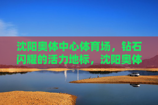 沈阳奥体中心体育场,钻石闪耀的活力地标,沈阳奥体中心,钻石闪耀的活力地标
