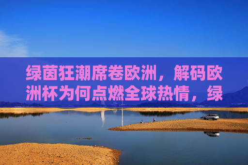 绿茵狂潮席卷欧洲，解码欧洲杯为何点燃全球热情，绿茵狂潮席卷欧洲，欧洲杯点燃全球热情