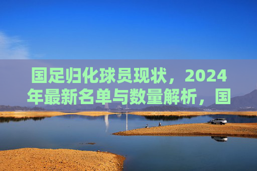 国足归化球员现状,2024年最新名单与数量解析,国足归化球员现状,2024年最新名单与数量解析