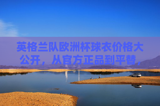 英格兰队欧洲杯球衣价格大公开，从官方正品到平替，哪款最值得入手？英格兰队欧洲杯球衣价格大公开，官方正品到平替，哪款最值得入手？