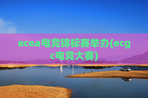 ecea电竞锦标赛举办(ecgc电竞大赛)