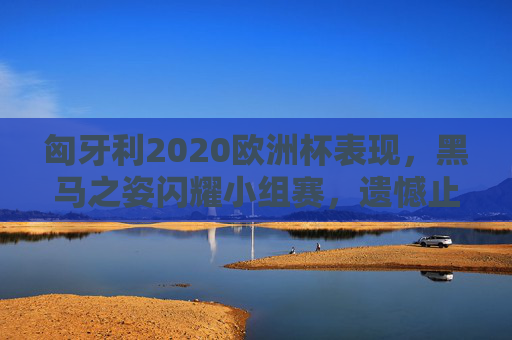 匈牙利2020欧洲杯表现,黑马之姿闪耀小组赛,遗憾止步淘汰赛前,匈牙利2020欧洲杯,黑马闪耀小组赛,遗憾止步淘汰赛前