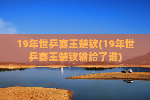 19年世乒赛王楚钦(19年世乒赛王楚钦输给了谁)