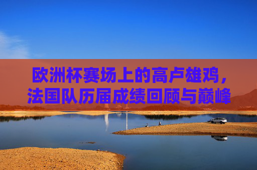 欧洲杯赛场上的高卢雄鸡,法国队历届成绩回顾与巅峰时刻,欧洲杯高卢雄鸡,法国队历届成绩回顾与巅峰时刻