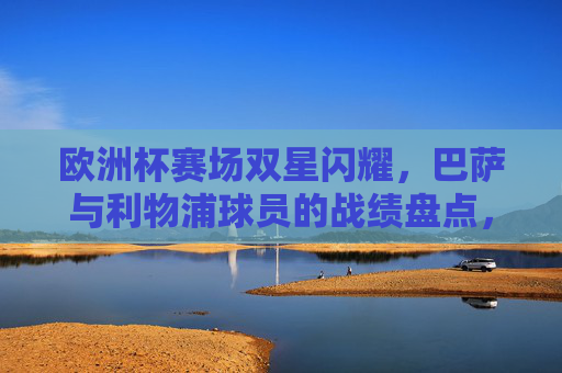 欧洲杯赛场双星闪耀,巴萨与利物浦球员的战绩盘点,欧洲杯双星闪耀,巴萨与利物浦球员战绩盘点