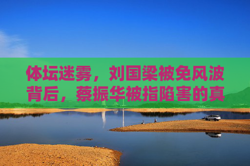 体坛迷雾,刘国梁被免风波背后,蔡振华被指陷害的真相解读,体坛迷雾,刘国梁被免风波与蔡振华陷害真相
