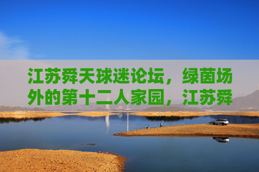江苏舜天球迷论坛，绿茵场外的第十二人家园，江苏舜天球迷论坛，绿茵场外的第十二人家园