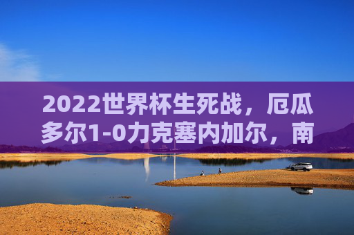 2022世界杯生死战,厄瓜多尔1-0力克塞内加尔,南美雄鹰昂首晋级,2022世界杯生死战,厄瓜多尔1-0力克塞内加尔昂首晋级