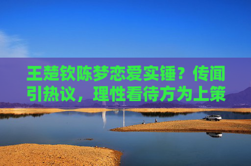 王楚钦陈梦恋爱实锤?传闻引热议,理性看待方为上策,王楚钦陈梦恋爱传闻引热议 理性看待方为上策