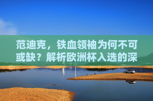 范迪克,铁血领袖为何不可或缺?解析欧洲杯入选的深层逻辑,范迪克,铁血领袖,欧洲杯不可或缺的深层逻辑