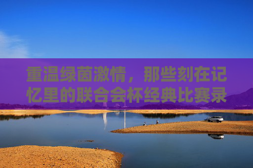 重温绿茵激情,那些刻在记忆里的联合会杯经典比赛录像,刻在记忆里的绿茵激情,联合会杯经典比赛