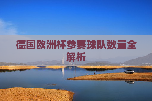 德国欧洲杯参赛球队数量全解析