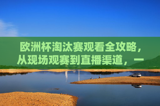欧洲杯淘汰赛观看全攻略,从现场观赛到直播渠道,一篇搞定,欧洲杯淘汰赛观看全攻略,现场观赛与直播渠道一篇搞定