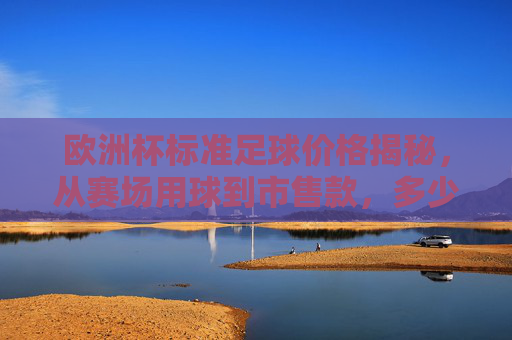 欧洲杯标准足球价格揭秘,从赛场用球到市售款,多少钱能买一个?欧洲杯标准足球价格揭秘,赛场用球到市售款多少钱能买一个?