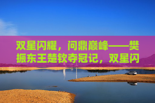 双星闪耀，问鼎巅峰——樊振东王楚钦夺冠记，双星闪耀，问鼎巅峰