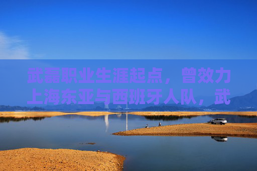 武磊职业生涯起点,曾效力上海东亚与西班牙人队,武磊职业生涯起点,从上海东亚到西班牙人队