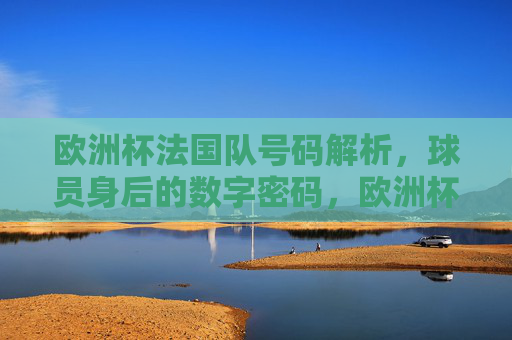 欧洲杯法国队号码解析,球员身后的数字密码,欧洲杯法国队号码解析,球员身后的数字密码