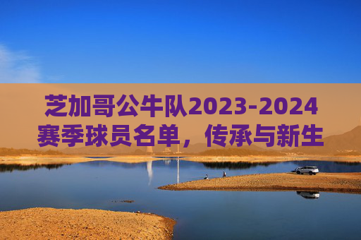 芝加哥公牛队2023-2024赛季球员名单，传承与新生交织的冠军底蕴，芝加哥公牛2023-2024赛季球员名单，传承与新生交织的冠军底蕴