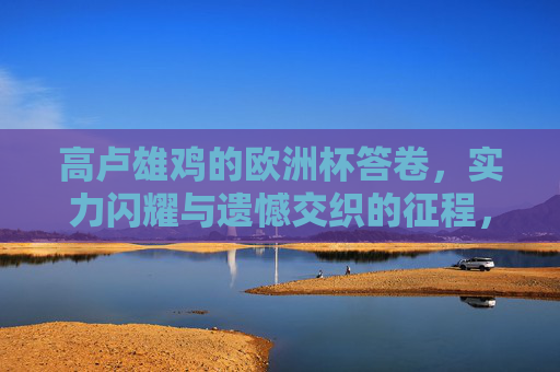 高卢雄鸡的欧洲杯答卷,实力闪耀与遗憾交织的征程,高卢雄鸡欧洲杯答卷,实力闪耀与遗憾交织的征程