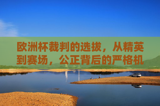 欧洲杯裁判的选拔,从精英到赛场,公正背后的严格机制,欧洲杯裁判选拔,从精英到赛场的公正机制