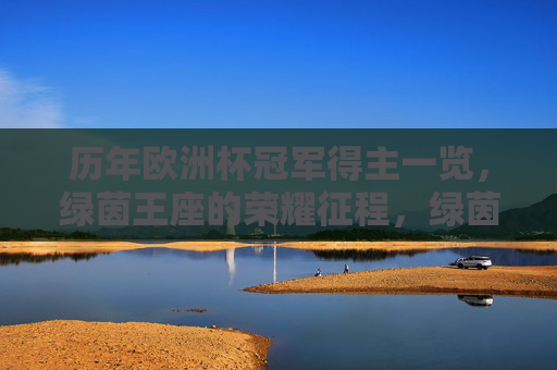 历年欧洲杯冠军得主一览，绿茵王座的荣耀征程，绿茵王座，欧洲杯冠军的荣耀征程