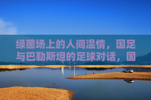 绿茵场上的人间温情,国足与巴勒斯坦的足球对话,国足与巴勒斯坦,绿茵场上的温情对话