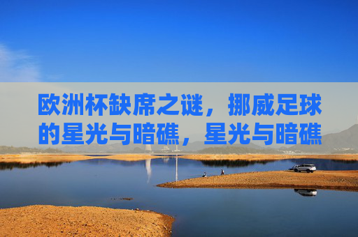 欧洲杯缺席之谜，挪威足球的星光与暗礁，星光与暗礁，挪威足球的欧洲杯缺席之谜