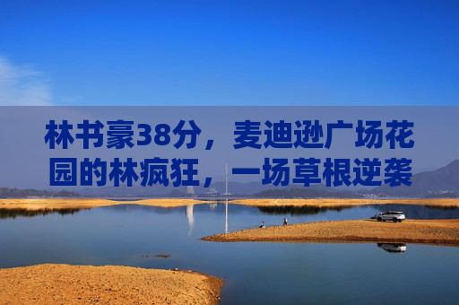 林书豪38分，麦迪逊广场花园的林疯狂，一场草根逆袭的史诗，林书豪38分，麦迪逊花园的草根逆袭史诗
