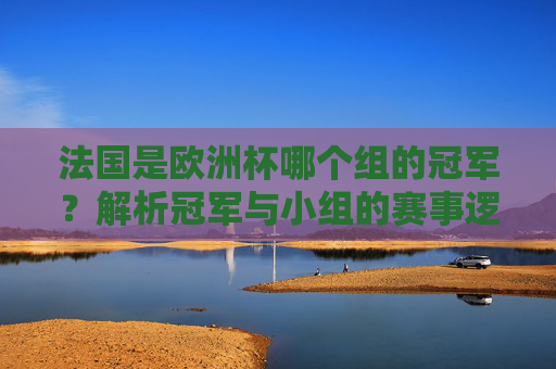 法国是欧洲杯哪个组的冠军?解析冠军与小组的赛事逻辑,法国欧洲杯小组冠军归属及赛事逻辑解析