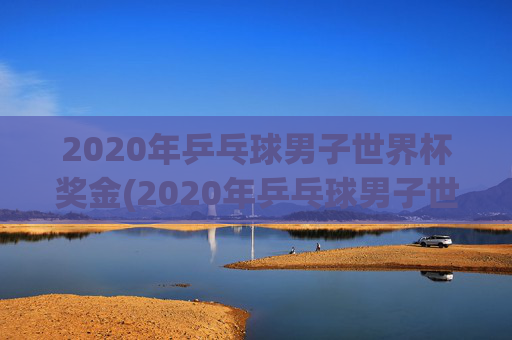 2020年乒乓球男子世界杯奖金(2020年乒乓球男子世界杯奖金多少)2020年乒乓球男子世界杯奖金多少