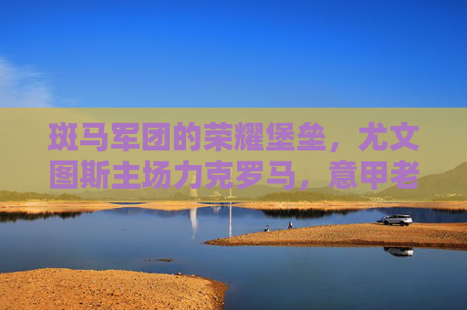 斑马军团的荣耀堡垒，尤文图斯主场力克罗马，意甲老牌劲旅的巅峰对决，斑马军团主场力克罗马 意甲巅峰对决