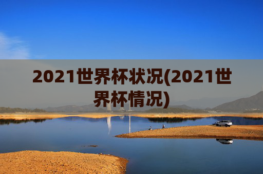 2021世界杯状况(2021世界杯情况)
