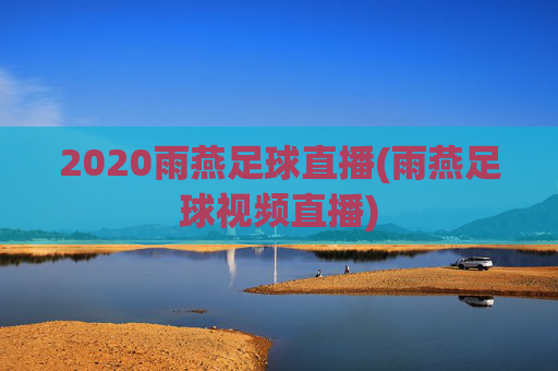 2020雨燕足球直播(雨燕足球视频直播)