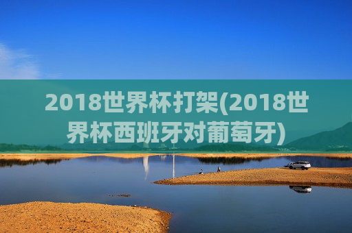 2018世界杯打架(2018世界杯西班牙对葡萄牙)