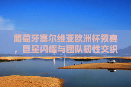 葡萄牙塞尔维亚欧洲杯预赛，巨星闪耀与团队韧性交织的出线生死战，葡萄牙塞尔维亚欧洲杯预赛，巨星闪耀与团队韧性的出线生死战