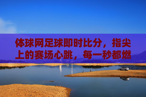 体球网足球即时比分,指尖上的赛场心跳,每一秒都燃胜负悬念