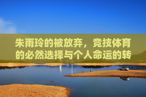 朱雨玲的被放弃,竞技体育的必然选择与个人命运的转折,朱雨玲被放弃,竞技体育必然选择下的个人命运转折