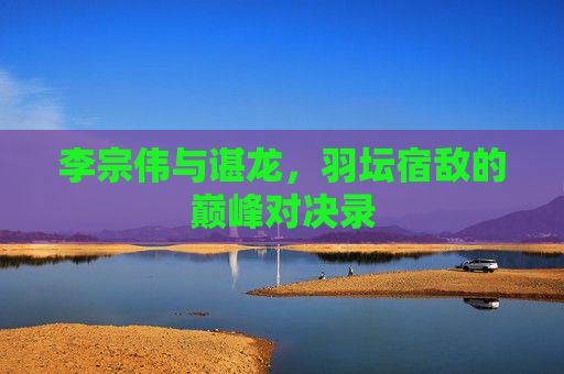 李宗伟与谌龙,羽坛宿敌的巅峰对决录