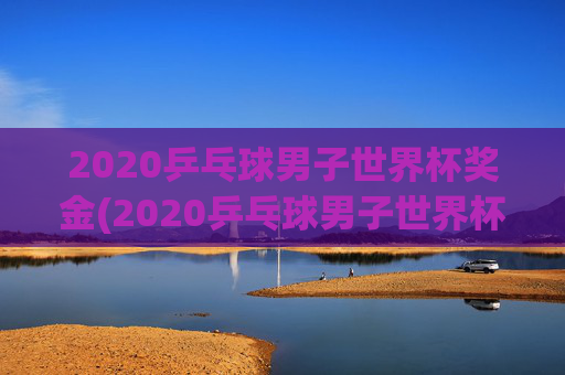 2020乒乓球男子世界杯奖金(2020乒乓球男子世界杯奖金多少)
